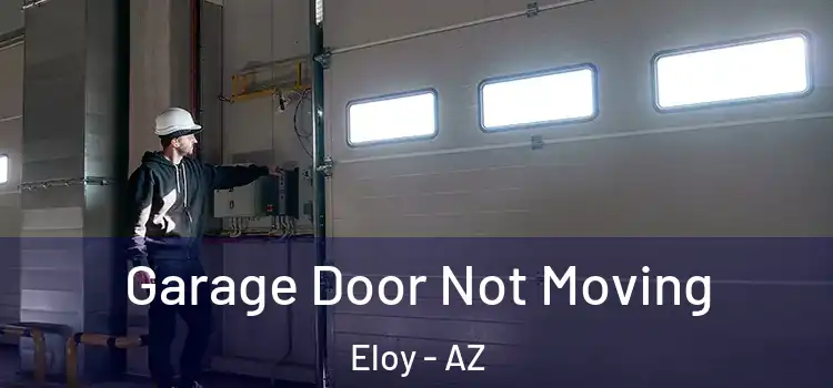  Garage Door Not Moving Eloy - AZ