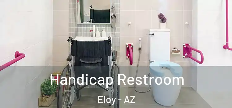  Handicap Restroom Eloy - AZ