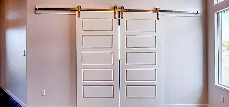 Glass Barn Door with Installation Hardware Kit Eloy